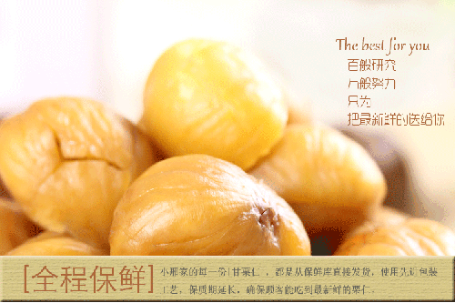 康源板栗