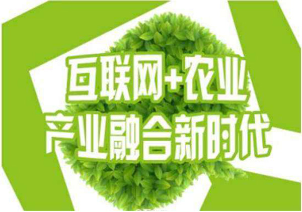 有没有乡镇好的致富项目？