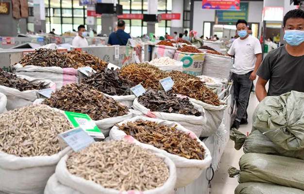 什么药材好种植利润高，农村种什么药材销路好,赚钱快