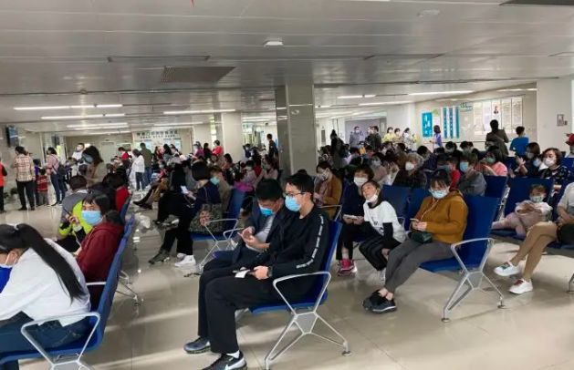 中药材种植项目有利润吗，种植什么药材最赚钱收益快