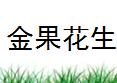 金果花生
