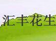 汇丰花生