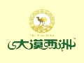 大漠西洲大枣