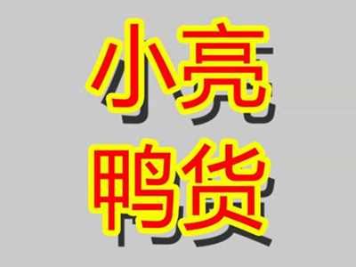 小亮鸭货